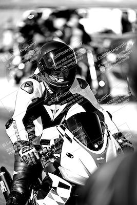 media/Mar-25-2024-Moto Forza (Mon) [[8d4319bd68]]/1-Around the Pits/